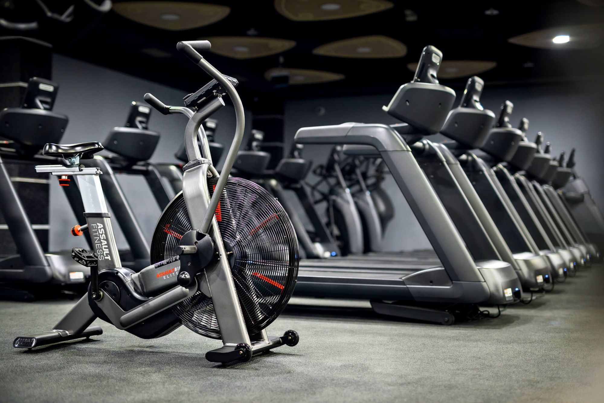 Cardio Training